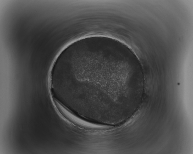 X0000097851519200803201528