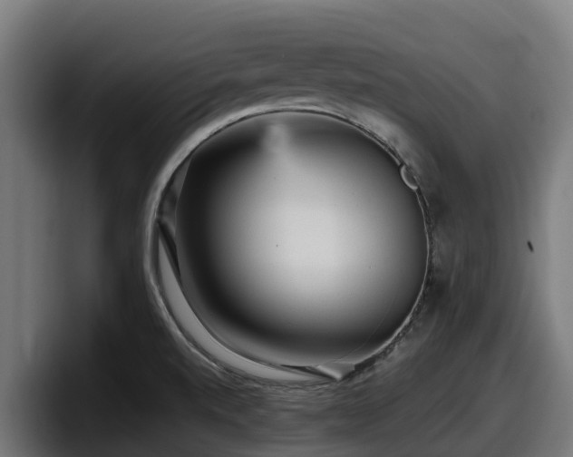 X0000097851520200803201528