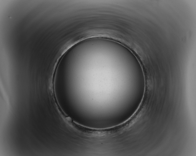 X0000097851521200803201528