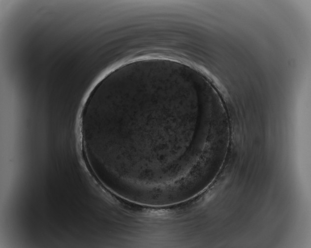 X0000097851522200803201528