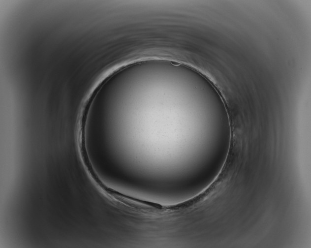 X0000097851523200803201528
