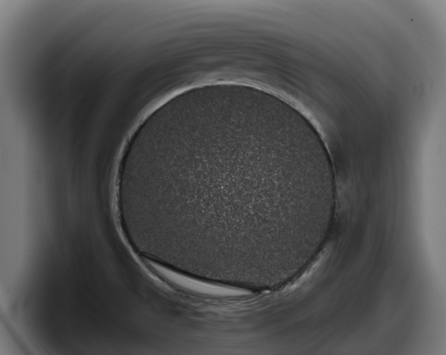 X0000097851525200803201528