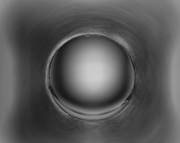 X0000097851528200803201528