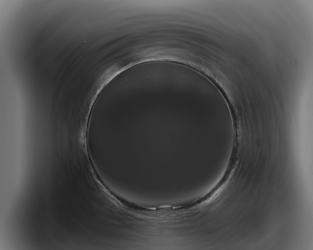 X0000097851529200803201528