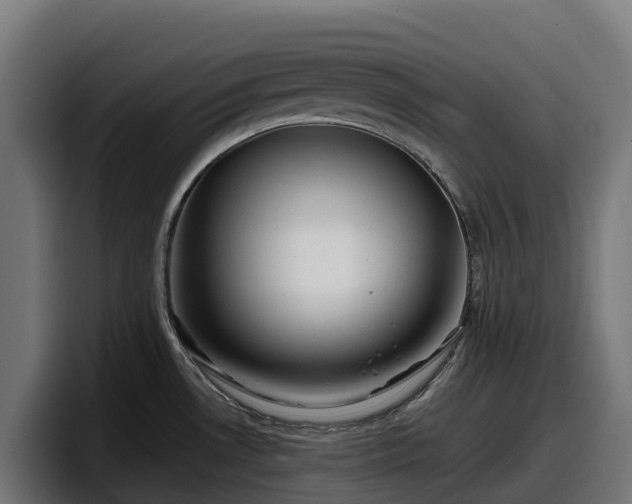 X0000097851530200803201528