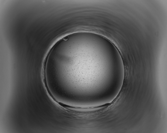 X0000097851531200803201528
