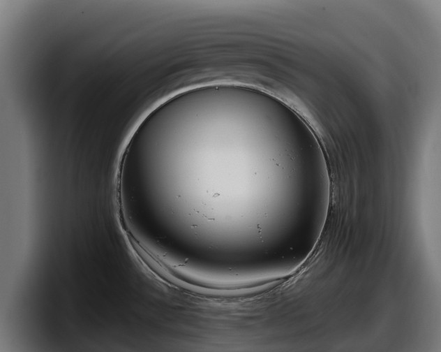 X0000097851532200803201528