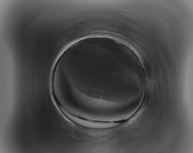 X0000097851533200803201528