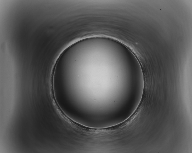 X0000097851534200803201528