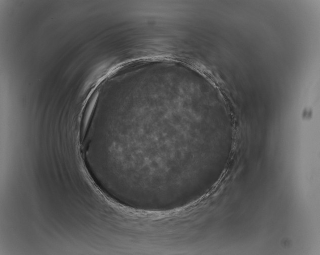 X0000097850002200803281259