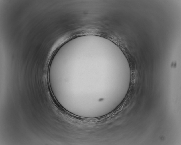 X0000097850004200803281259