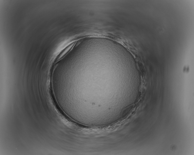 X0000097850005200803281259