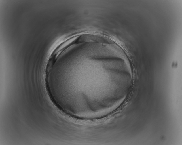 X0000097850007200803281259