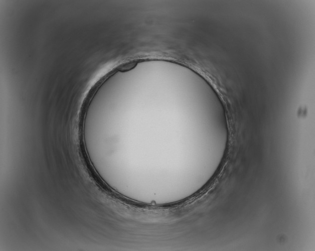 X0000097850008200803281259