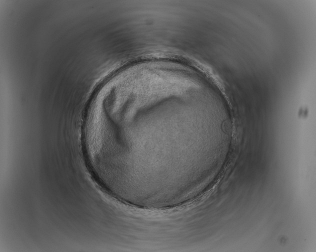 X0000097850010200803281259