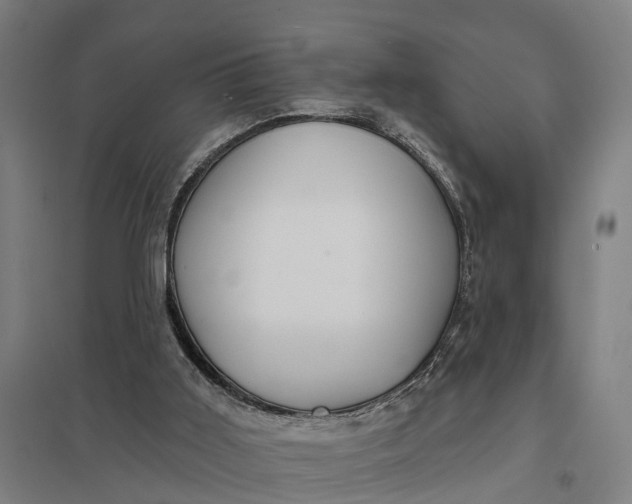 X0000097850011200803281259