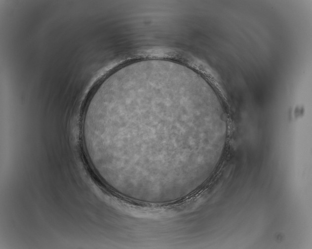 X0000097850012200803281259