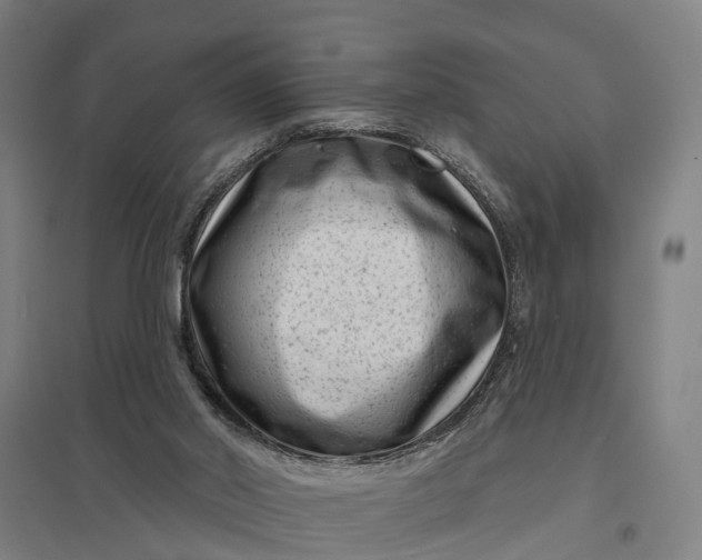 X0000097850014200803281259