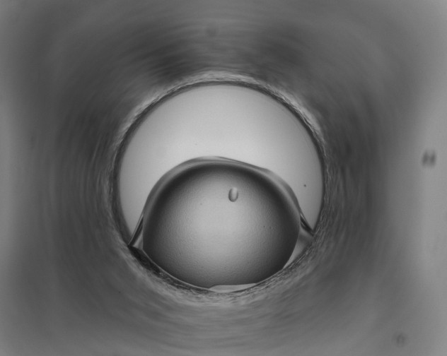 X0000097850015200803281259