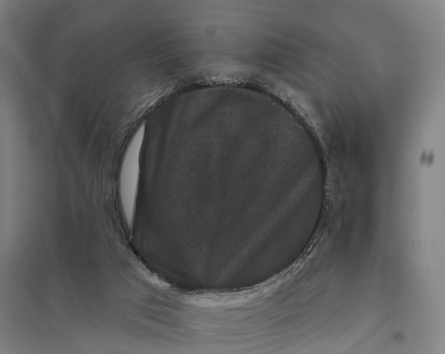 X0000097850017200803281259