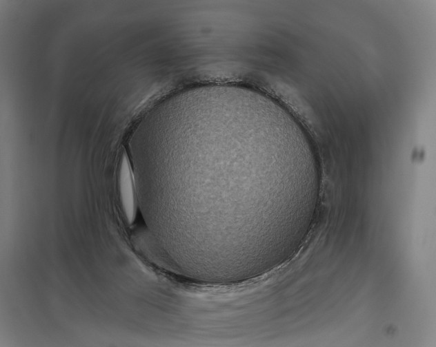 X0000097850021200803281259