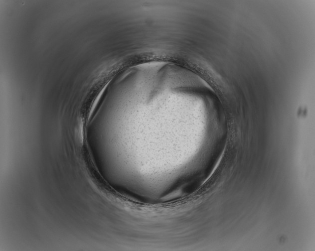 X0000097850022200803281259