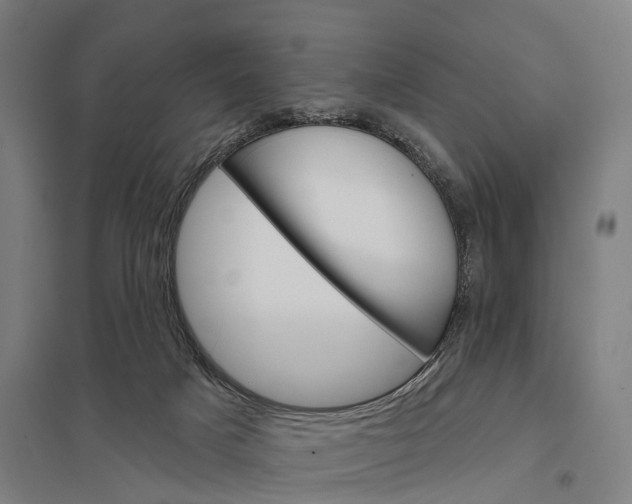 X0000097850025200803281259