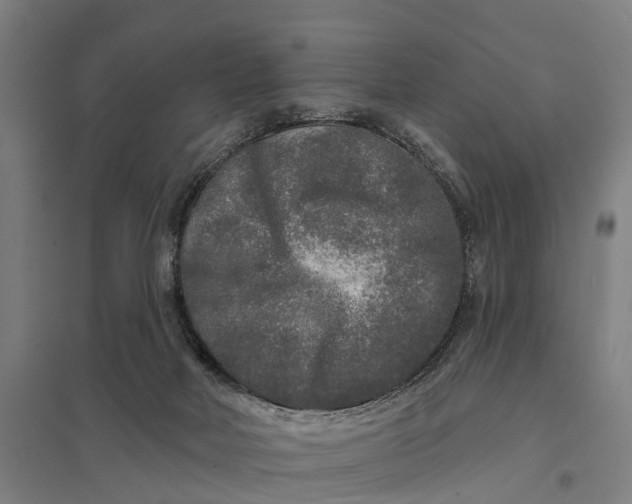 X0000097850026200803281259