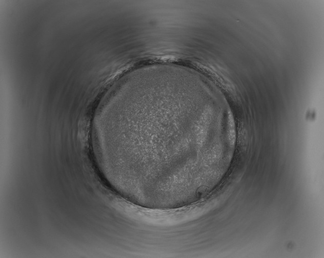 X0000097850030200803281259