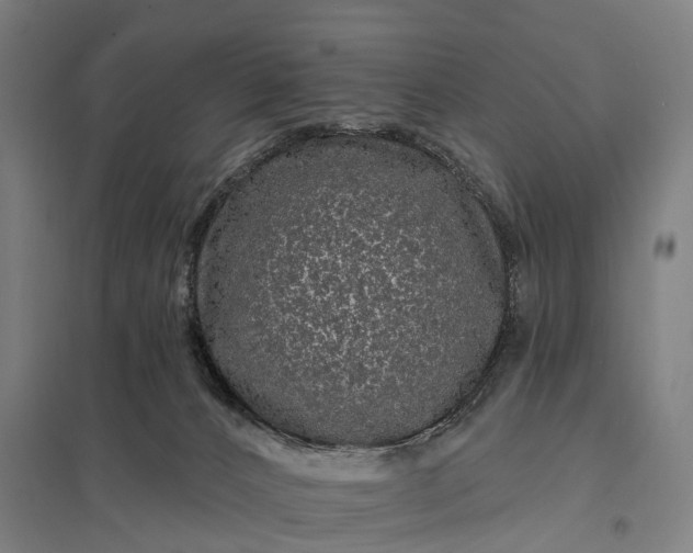 X0000097850032200803281259