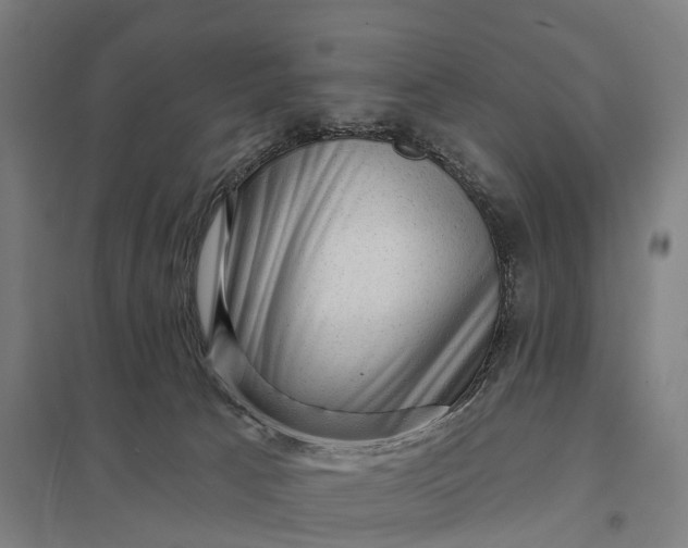 X0000097850033200803281259