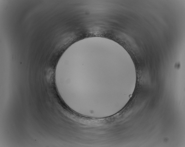 X0000097850036200803281259