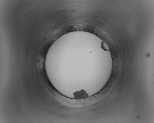 X0000097850038200803281259