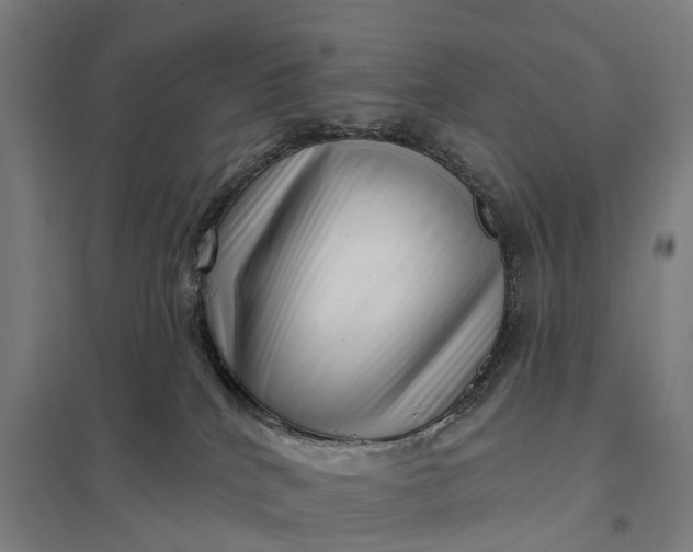 X0000097850040200803281259