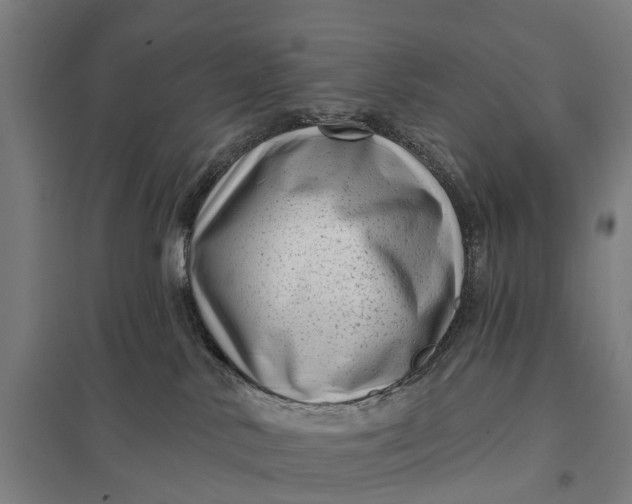 X0000097850042200803281259