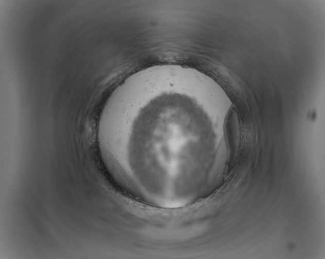 X0000097850043200803281259