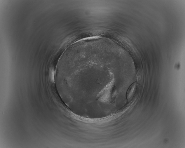 X0000097850046200803281259