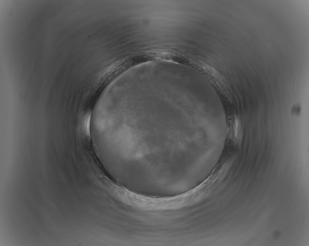 X0000097850047200803281259