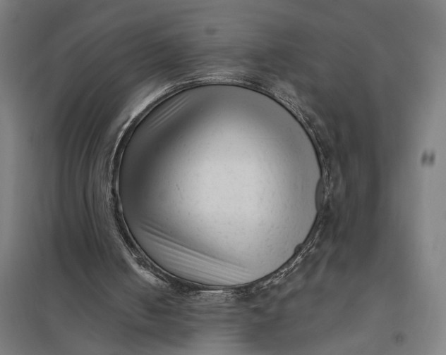 X0000097850050200803281258