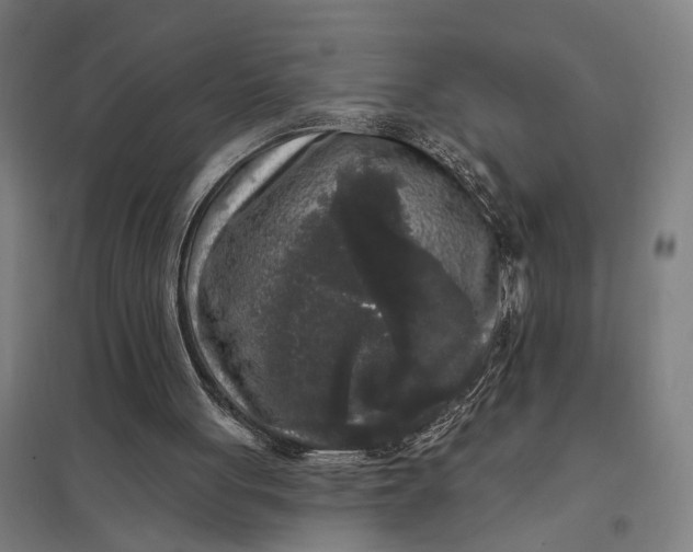 X0000097850051200803281258