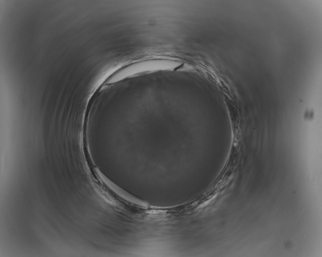 X0000097850052200803281258