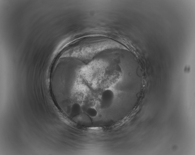 X0000097850053200803281258