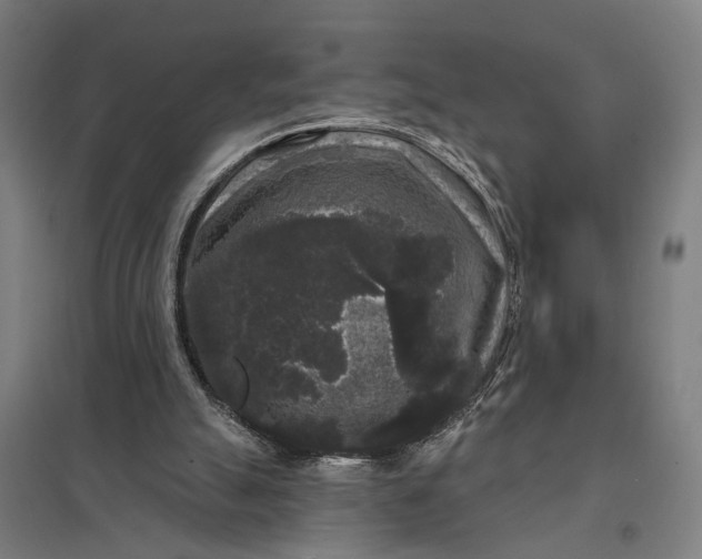 X0000097850055200803281258