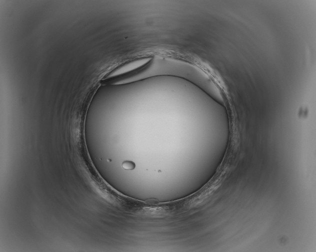 X0000097850057200803281258