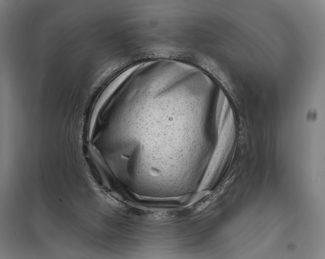 X0000097850058200803281258