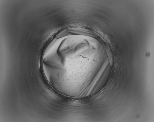 X0000097850062200803281258