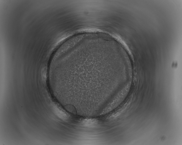 X0000097850063200803281258