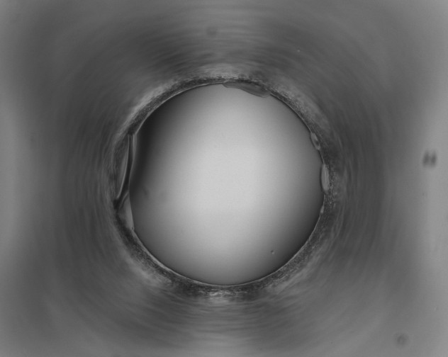 X0000097850064200803281258