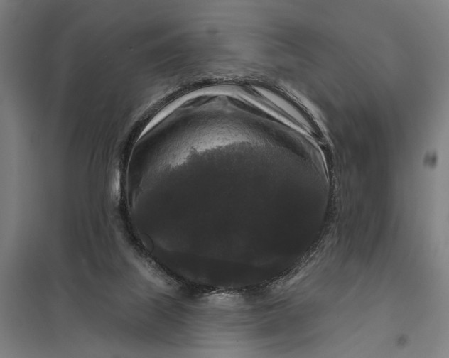 X0000097850067200803281258