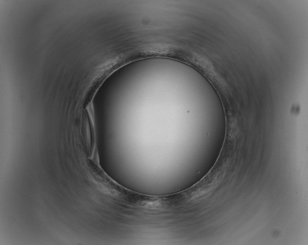 X0000097850068200803281258